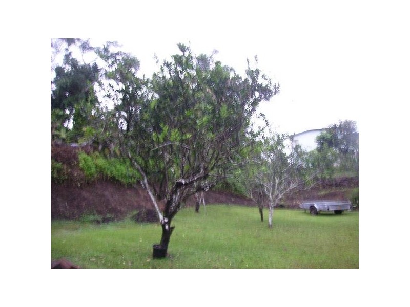 8 Off Coronation Drive, Innisfail QLD 4860