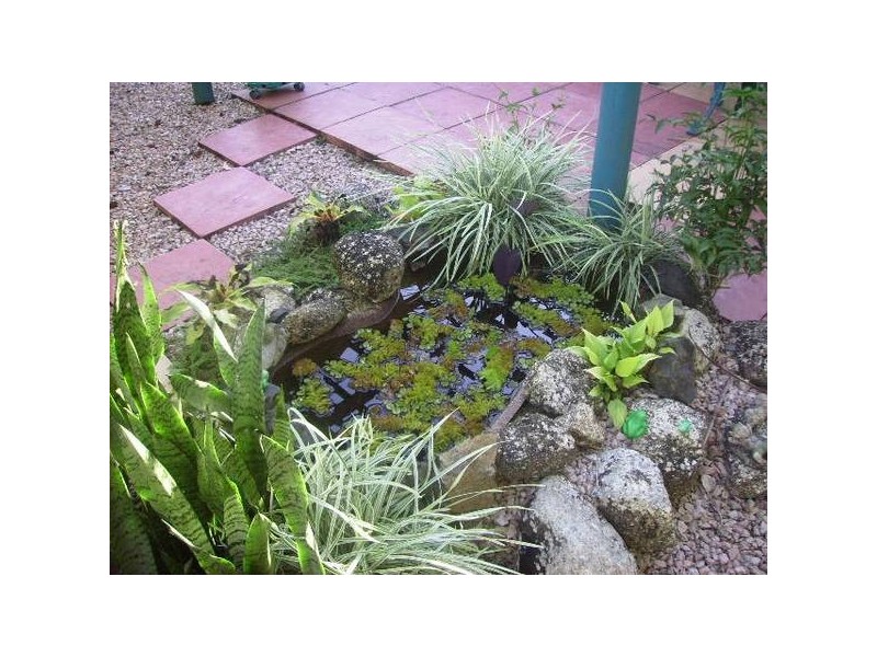 Mena Creek QLD 4871