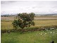 Innisfail QLD 4860
