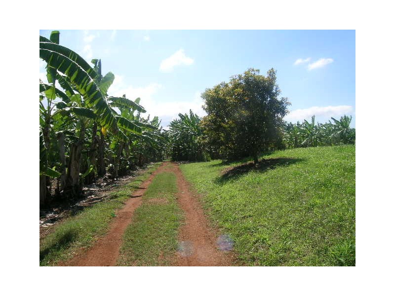 Lot 4,  Elstop Road, Garradunga QLD 4860
