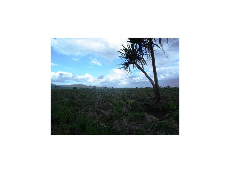 Xecanas Access Road, Babinda QLD 4861