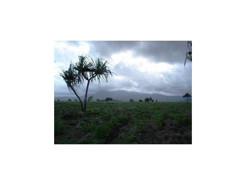 Xecanas Access Road, Babinda QLD 4861