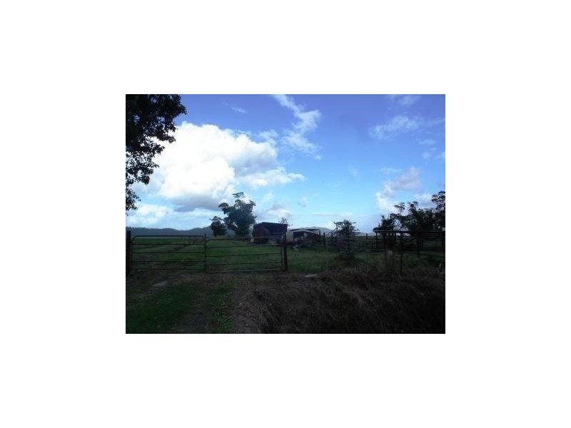 Xecanas Access Road, Babinda QLD 4861