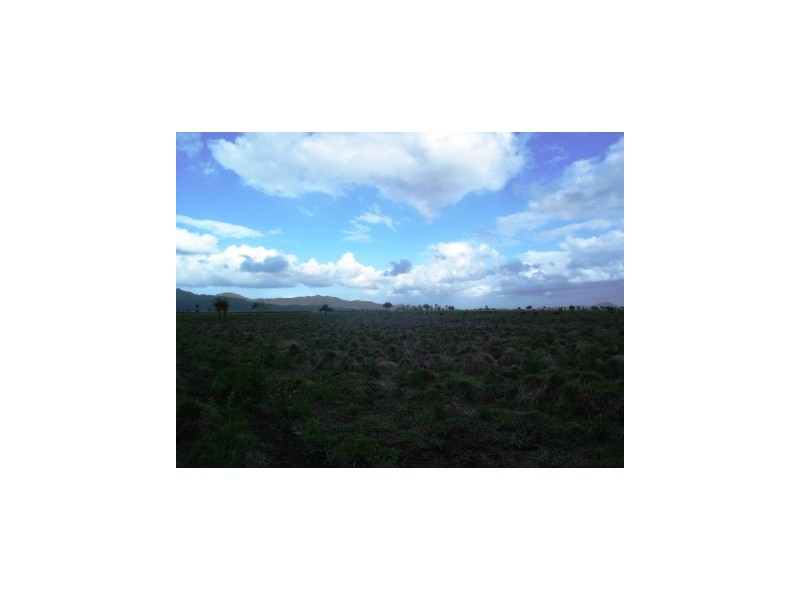 Xecanas Access Road, Babinda QLD 4861