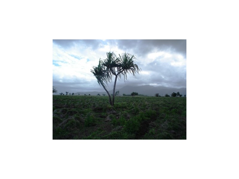 Xecanas Access Road, Babinda QLD 4861