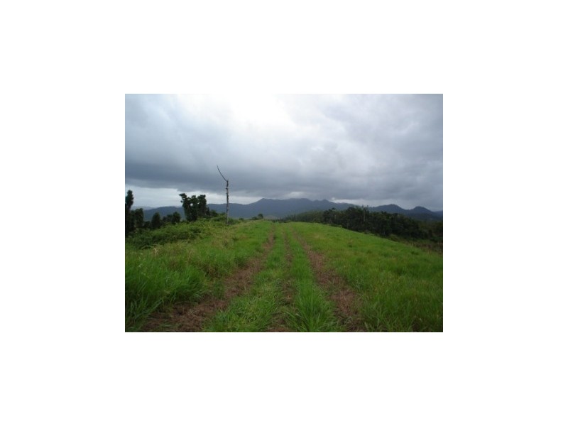 Woopen Creek Road, Woopen Creek QLD 4871