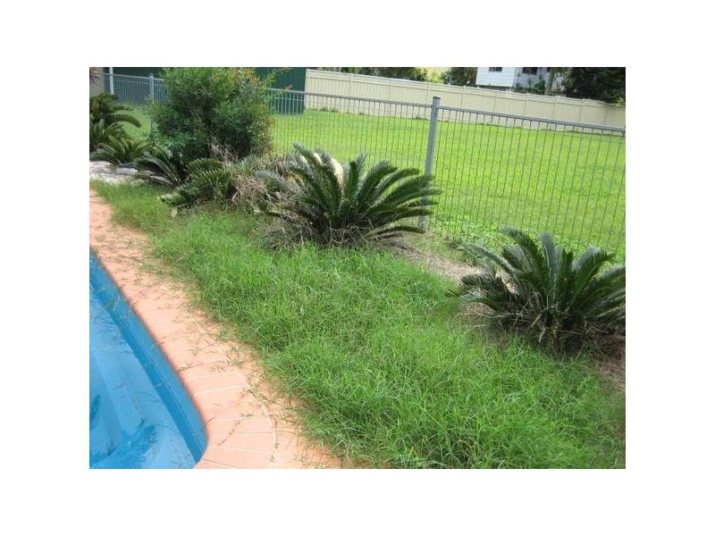 28 The Esplanade, Coconuts QLD 4860