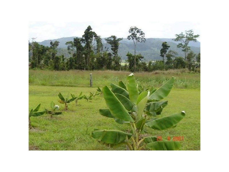 551 Dunne Road, Nerada QLD 4860