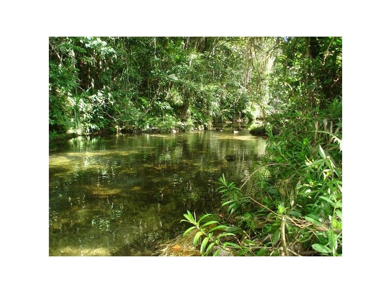 RN 376 Kruckow Road, Babinda QLD 4861