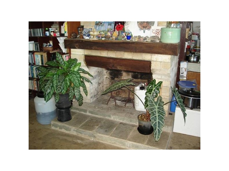 RN 376 Kruckow Road, Babinda QLD 4861