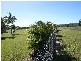 1 La Rocco Close, Innisfail QLD 4860
