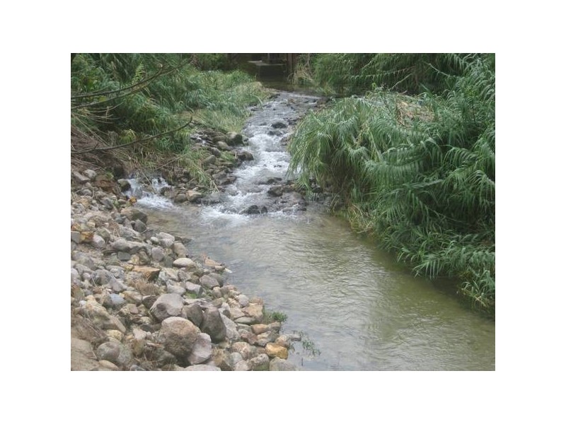 Mustafa Access Road, Babinda QLD 4861