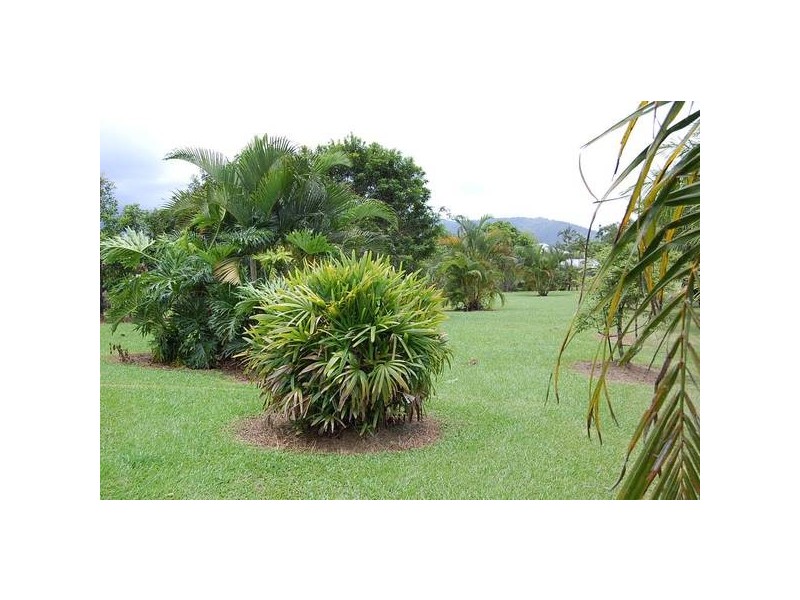 Mustafa Access Road, Babinda QLD 4861