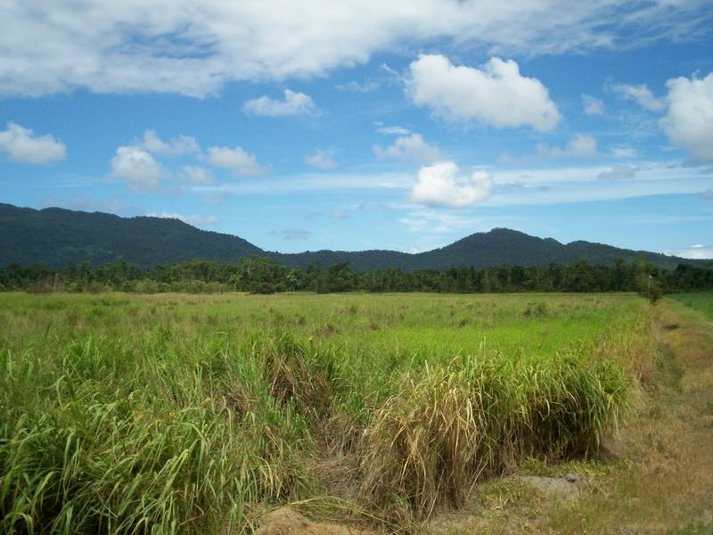 Lot 11, YP67980 BRUCE HIGHWAY, Babinda QLD 4861
