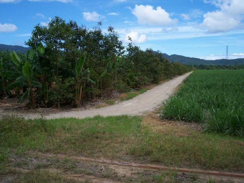 Lot 11, YP67980 BRUCE HIGHWAY, Babinda QLD 4861