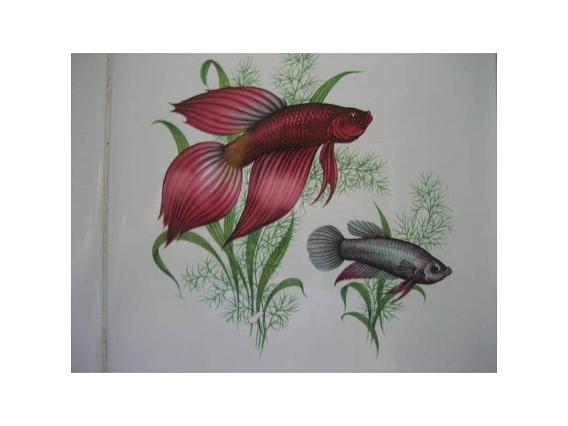 10 Bergin Road, Innisfail Estate QLD 4860