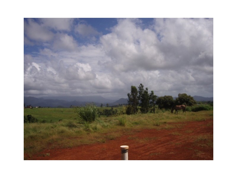 YP2008 Palmerston Hwy, Palmerston QLD 4860