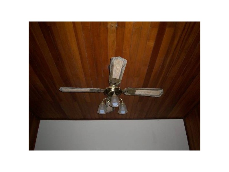 53-55 WHITMAN ST, Innisfail QLD 4860