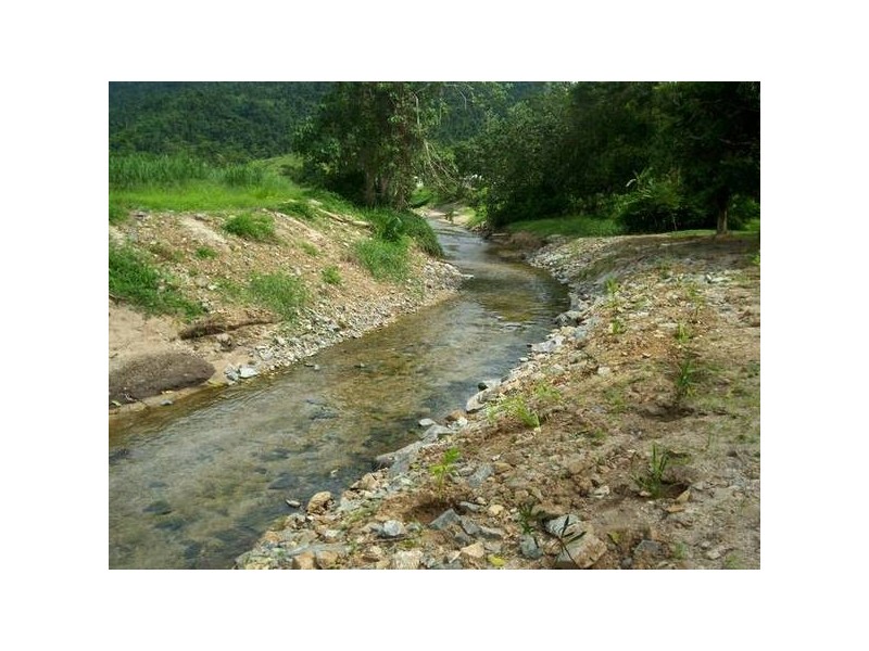 24 TOM CARR CL., Innisfail QLD 4860