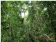 21 Waterfall Place, Innisfail QLD 4860