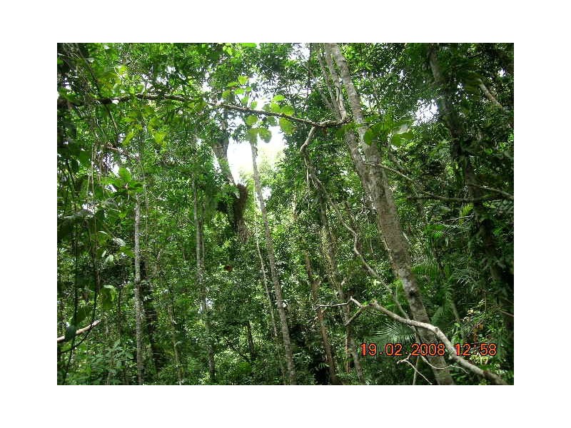21 Waterfall Place, Innisfail QLD 4860