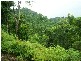 Babinda QLD 4861
