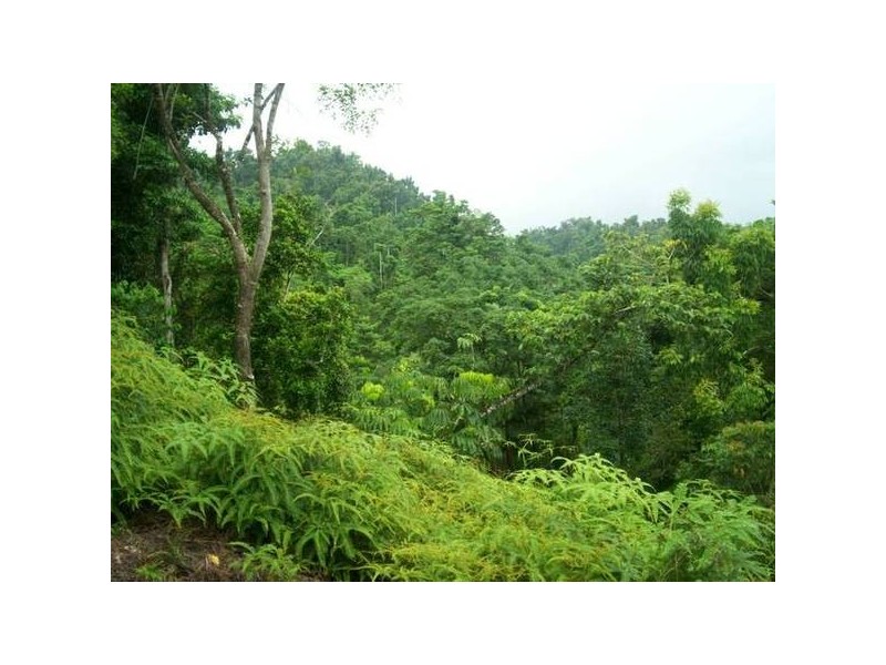 Babinda QLD 4861