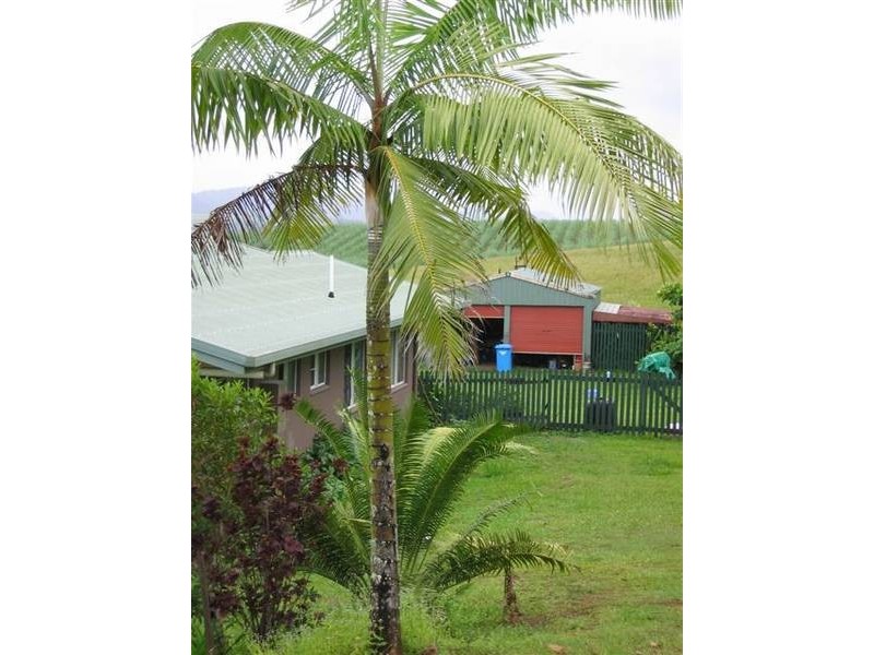 13 Brishetto Drive, Innisfail QLD 4860