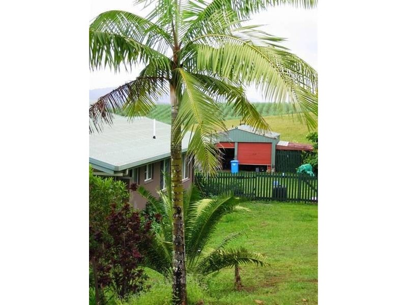 13 Brishetto Drive, Innisfail QLD 4860