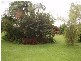 53 UTCHEE CREEK ROAD, Mena Creek QLD 4871
