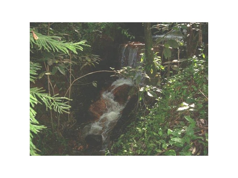 99 Topaz road, Cairns QLD 4870