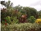 173 Astorquia Road, Innisfail QLD 4860
