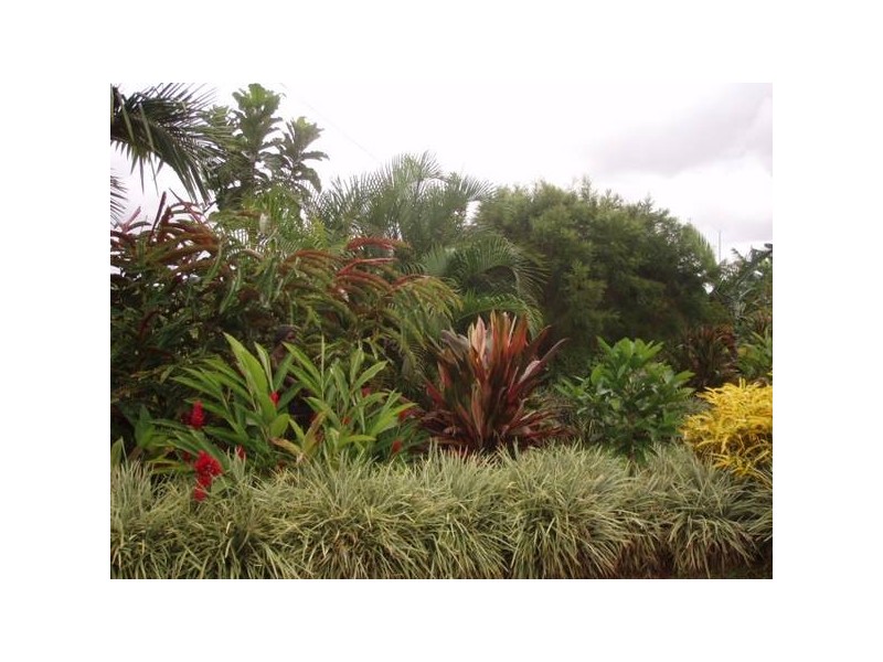 173 Astorquia Road, Innisfail QLD 4860