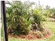 173 Astorquia Road, Innisfail QLD 4860