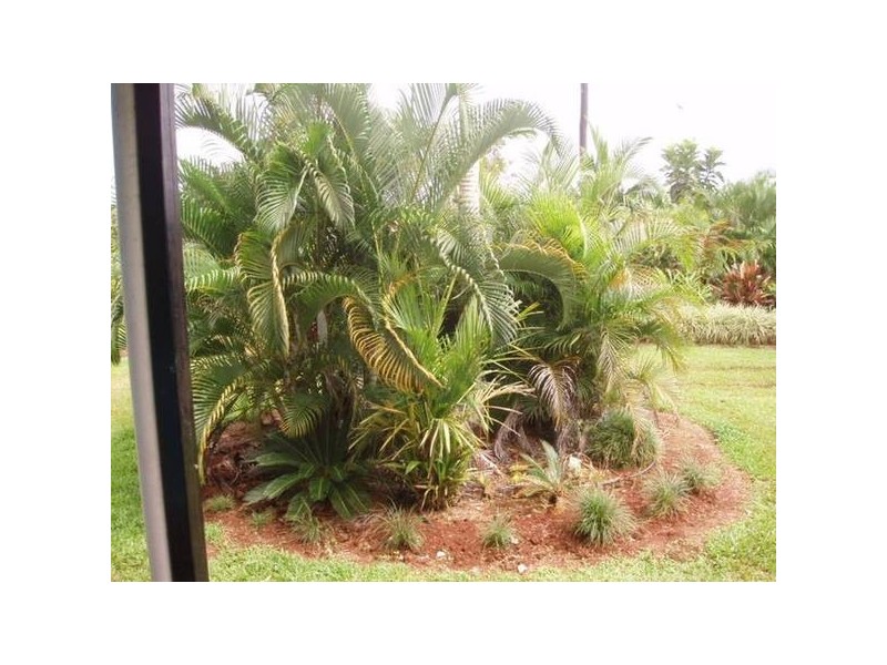 173 Astorquia Road, Innisfail QLD 4860