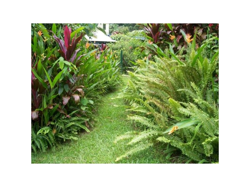 29 Parry Street, Babinda QLD 4861