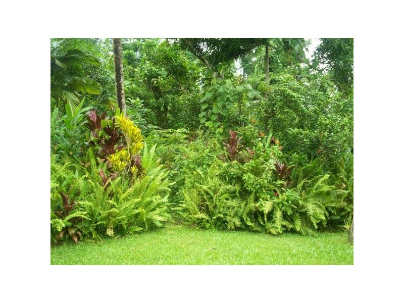 29 Parry Street, Babinda QLD 4861