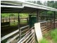 Babinda QLD 4861