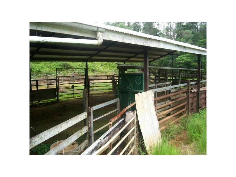 Babinda QLD 4861