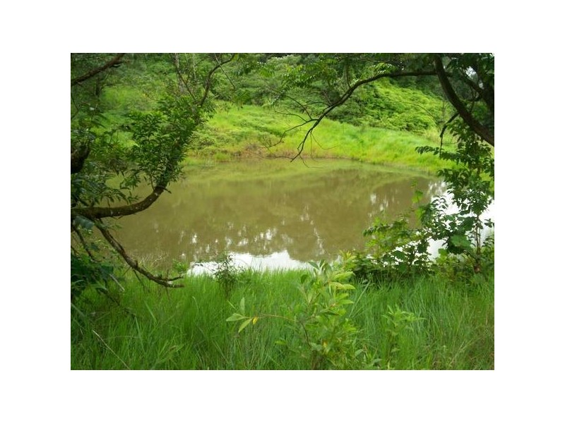 Babinda QLD 4861