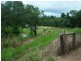 Babinda QLD 4861