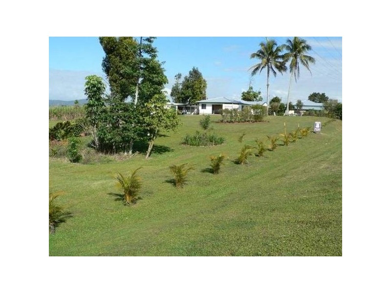 168 Harbour Road, Mourilyan QLD 4858