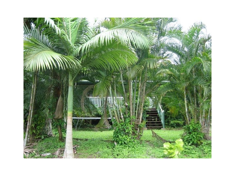 17 Enid, Flying Fish Point QLD 4860