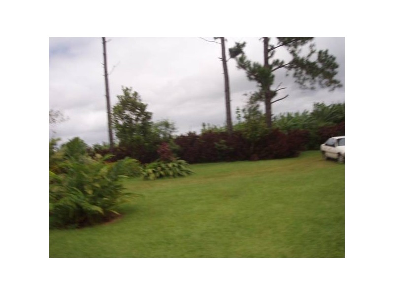 53 UTCHEE CREEK ROAD, Innisfail QLD 4860