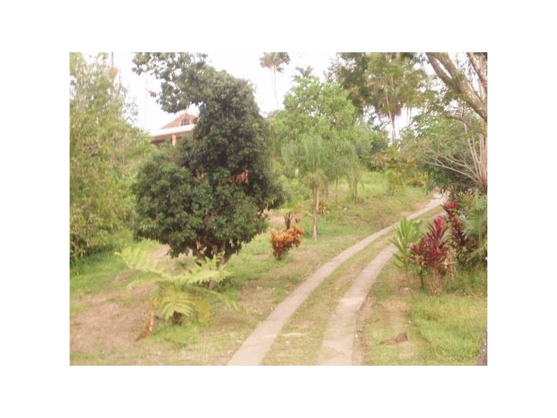 56 COWLEY ROAD, Innisfail QLD 4860