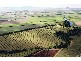 Babinda QLD 4861