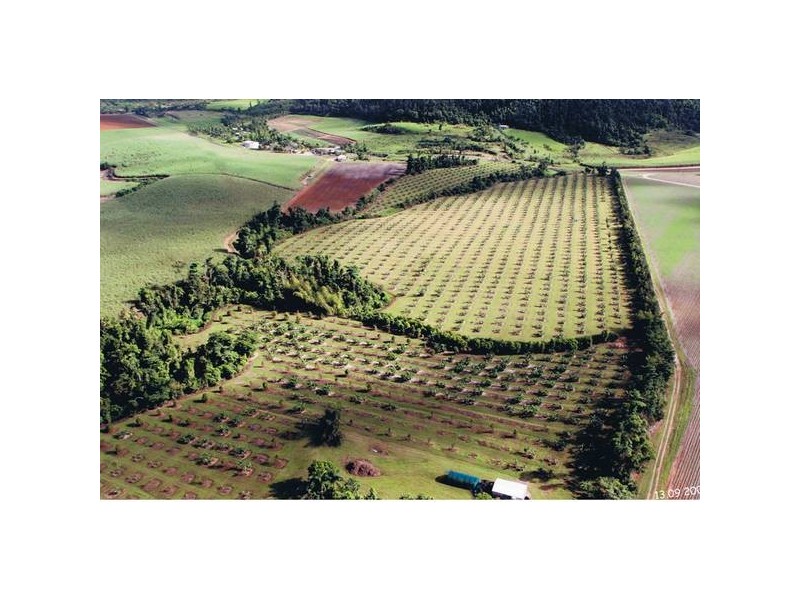 Babinda QLD 4861