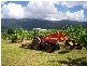 Babinda QLD 4861