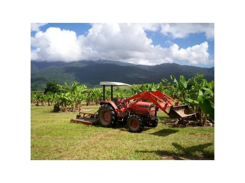 Babinda QLD 4861