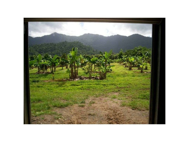 Babinda QLD 4861